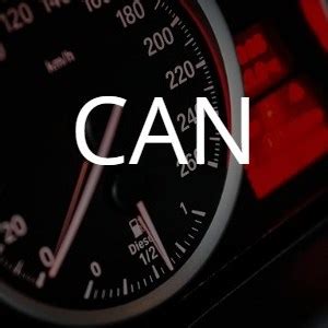 Can Error Examples に対する画像結果