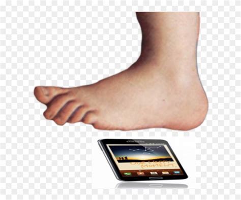 Image result for Monty Python Foot Vector Graphic High Resolution