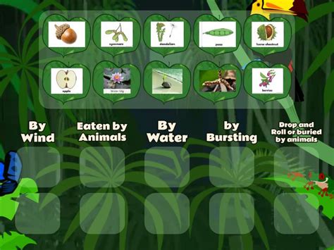 Image result for All Types of Seed Dispersal