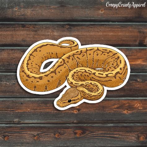 Image result for Yellow Ball Python Sticker