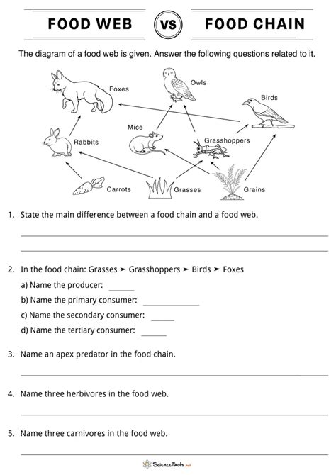 Afbeeldingsresultaten voor Web Chain Science