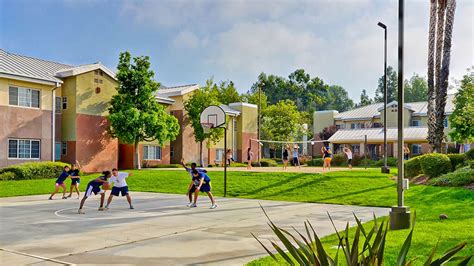 UC College Gators に対する画像結果