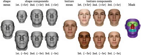 Image result for Base Face Model