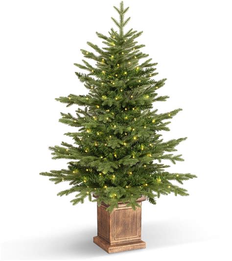 Image result for Potted Christmas Tree 4Ft Tall