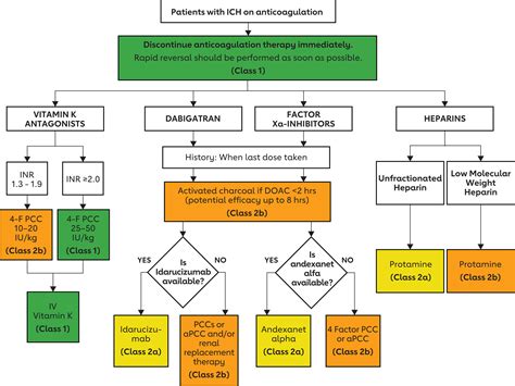 Image result for Stroke Medication Treatment Algorithm