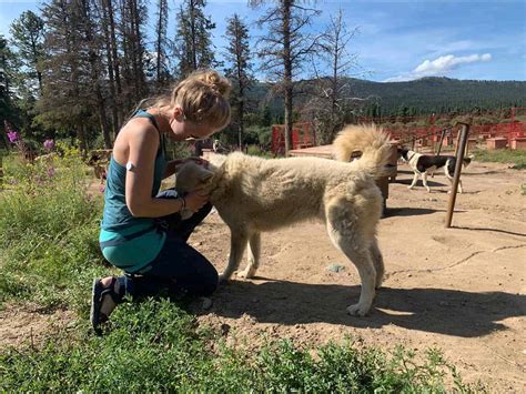 Libre 2 How It Works に対する画像結果