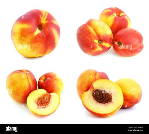 Image result for Nectaries Photo