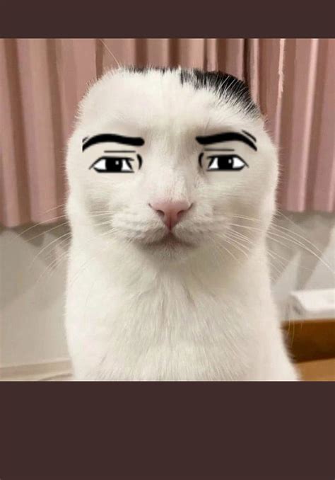 Image result for Simulator Cat Face Roblox