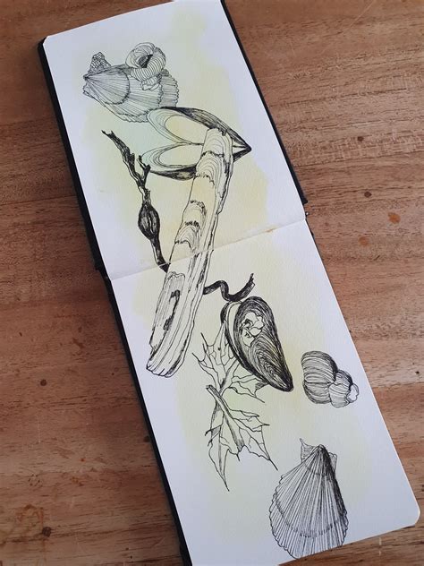 Image result for Tekenen Beginners Schets