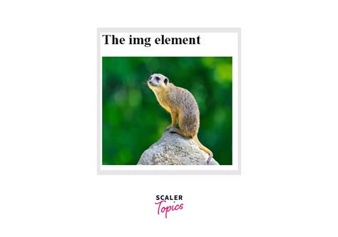 Image result for Self Closing Tags Example