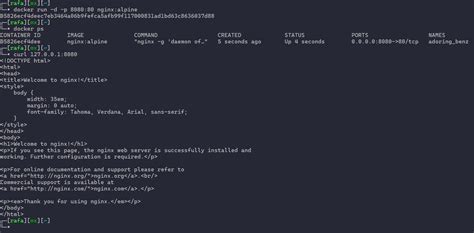 Toradh íomhá ar Docker Interactive Logo
