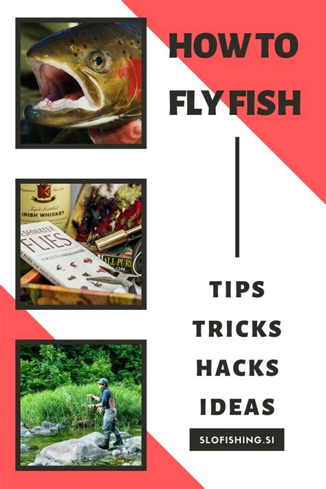 Image result for Basics How to Fly Fish