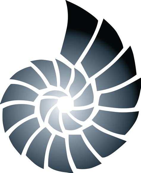 نتيجة الصورة لـ Shell Crazy Shape