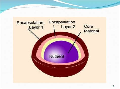 Image result for Microencapsulation Process