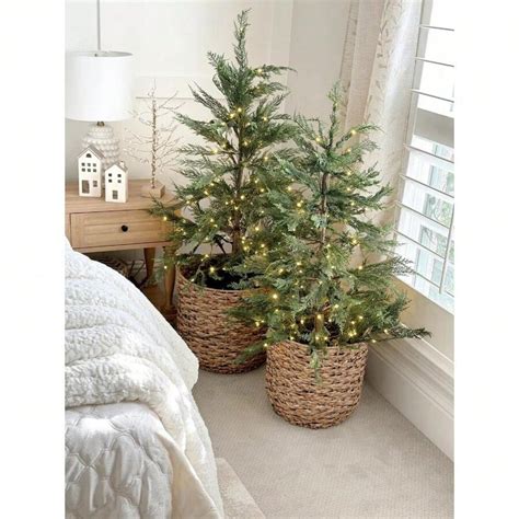 Image result for Potted Christmas Tree 4Ft Tall