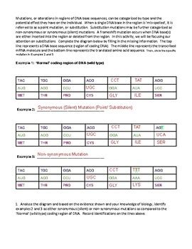 Bee Mutation Lab Answer Key に対する画像結果