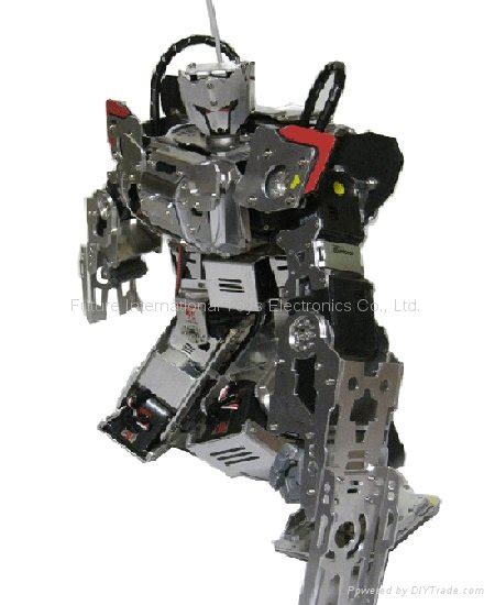 Image result for Remote Control Fighter Robot