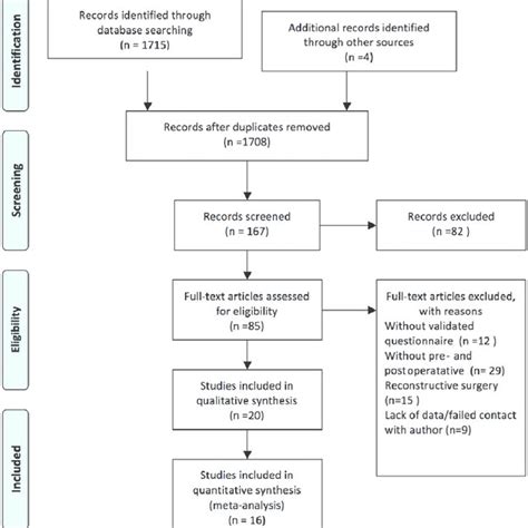 Image result for Flowchart Voorbeeld Systematic Review