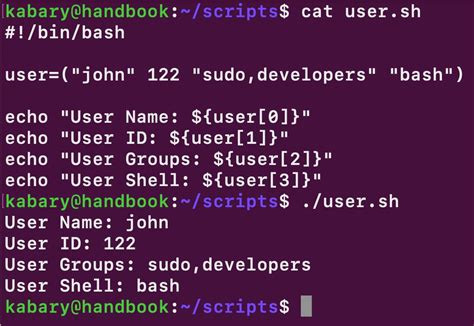 Shell Script Variable in String に対する画像結果