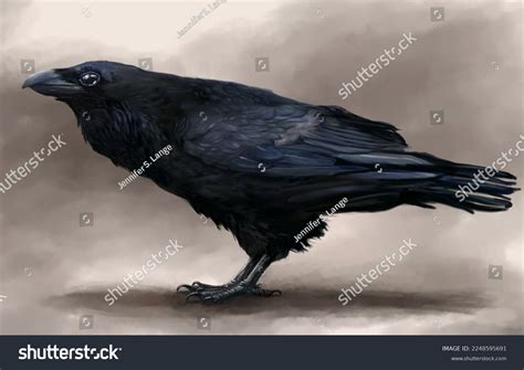 Image result for Raven with Wings Up Side View