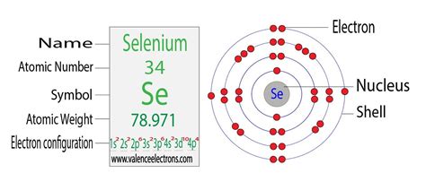 Image result for Atom Structure of Selenium