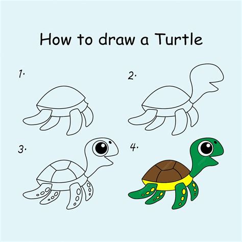 Image result for Turtle Drawing