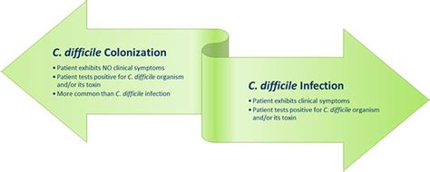 Image result for C. Difficile Testing Algorithm