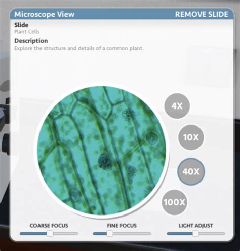 4X Microscope View എന്നതിനുള്ള ഇമേജ് ഫലം