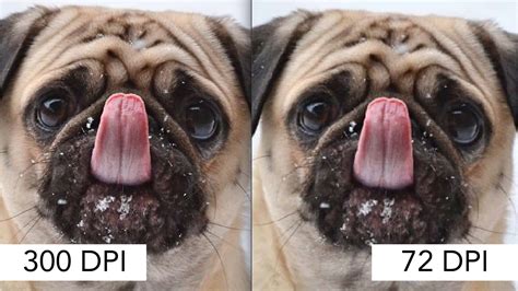 High Resolution Image of Printing Paper に対する画像結果