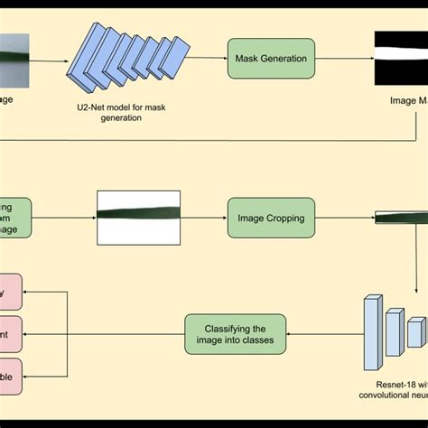 Image result for Suggest a Workflow Diagram for Classification Model
