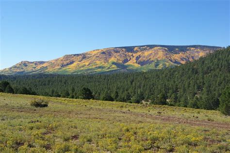 Image result for Springerville Power Generating Station