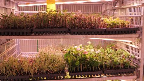 Toradh íomhá ar Computer Racks for Many Computers