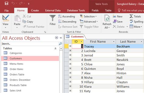 Image result for Access Database Tutorial 2016