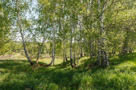 Quiz Wallpaper に対する画像結果