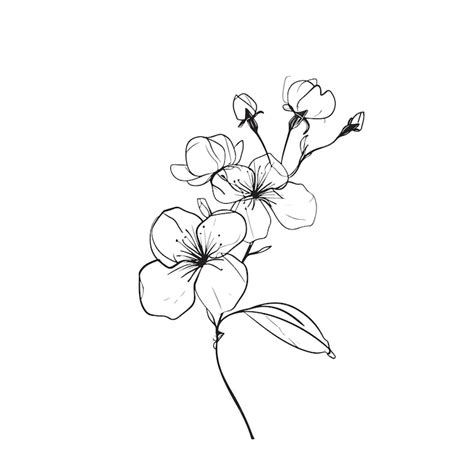 Spring Blossom Picture Line Drawing に対する画像結果