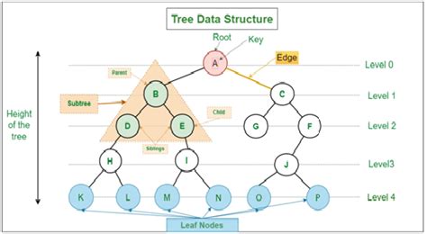 Image result for Database Design for Tree Structure