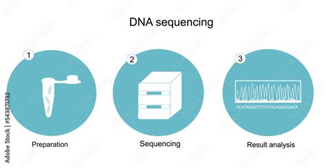 Image result for DNA Isolation to Sequencing Workflow