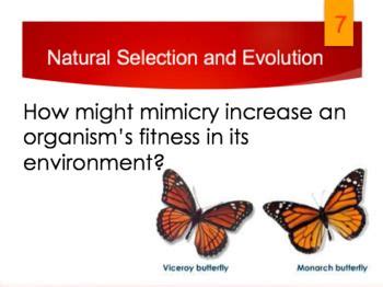 Evolution and Natural Selection Task Cards に対する画像結果