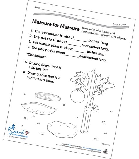 Afbeeldingsresultaten voor Workbook/Worksheet
