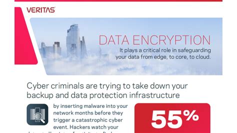 Image result for Data Encryption Infographic
