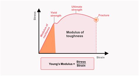 Image result for Young Modulus
