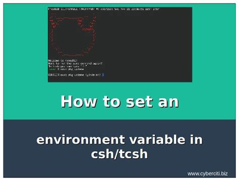 Image result for Tcsh Shell