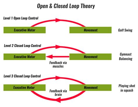 Image result for Example of Open Loop System in Sports