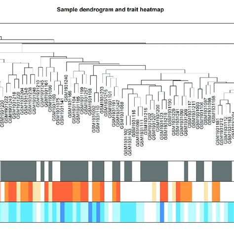 Image result for Heatmap Dendrogram Clustering
