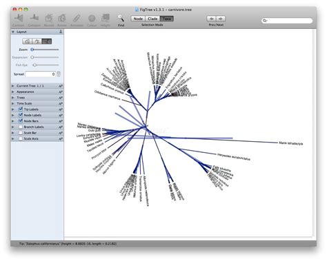 Image result for Fig Tree Software Evolution
