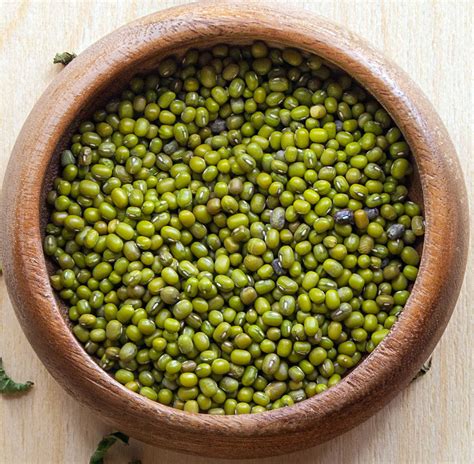 Image result for Gram-negative Bacilli Antibiotics