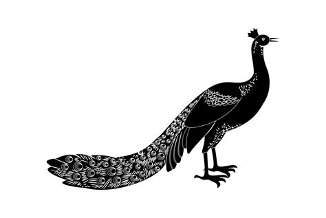 Toradh íomhá ar Solid Color Graphics