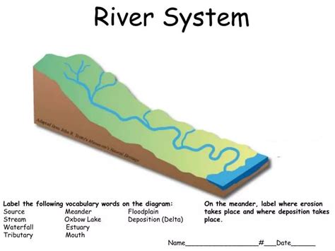 Image result for River Diagram No Labels