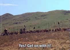 Image result for Monty Python Stupid GIF