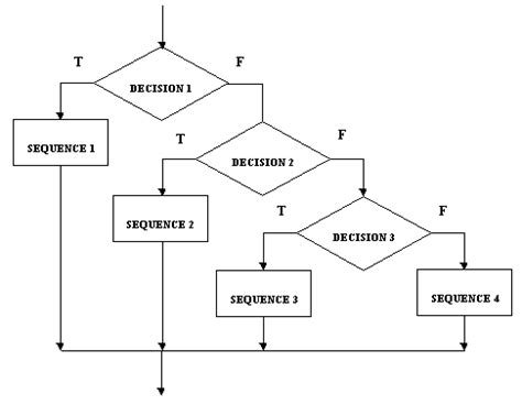 Image result for Program Flow Diagram Triple Choice
